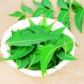 elder-mahogany-neem